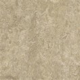 /products/3234-forest-ground-real/